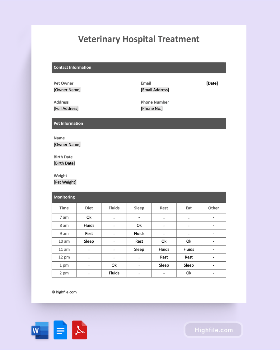 Veterinary Hospital Treatment Sheet - Word, Pdf, Google Docs