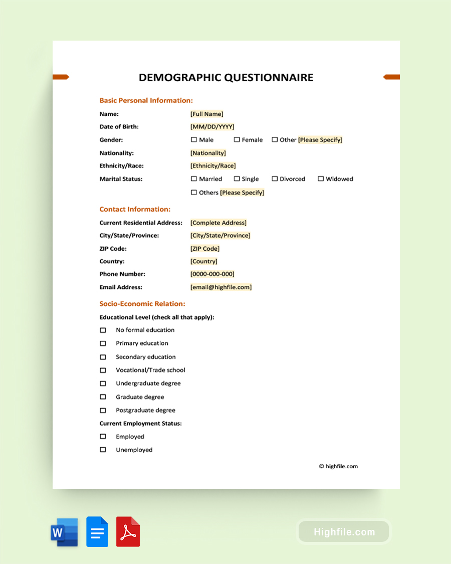 Demographic Questionnaire Template - Word, Google Docs, PDF