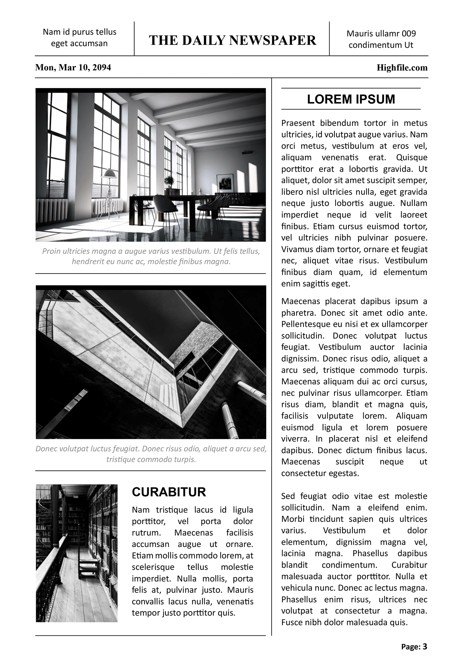 Black and White Newspaper Article Template - Page # 3