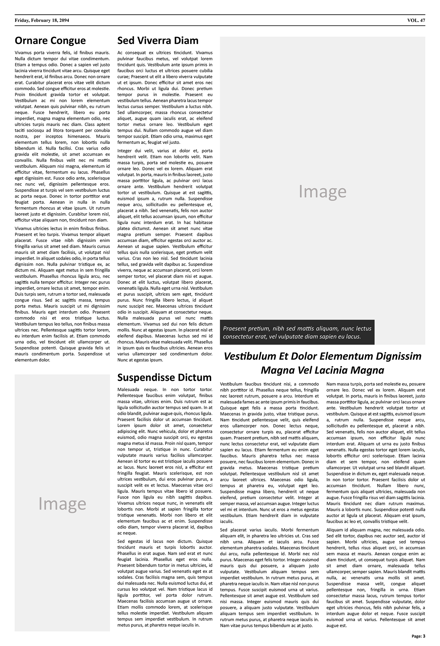 Blank Newspaper Article Page Template - Page 03