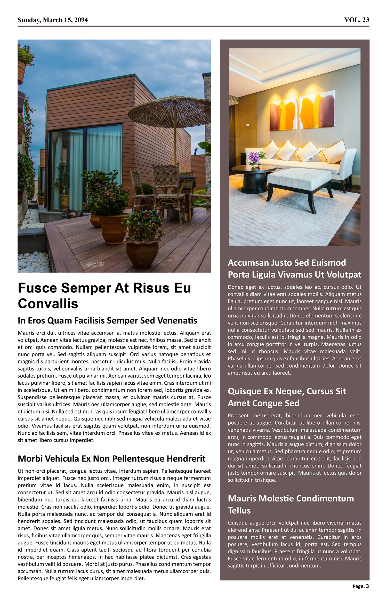 Real Estate Newspaper Article Template - Page 03