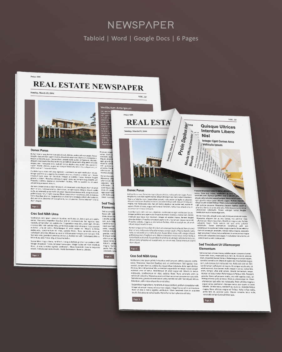 Real Estate Newspaper Article Template - Word and Google Docs